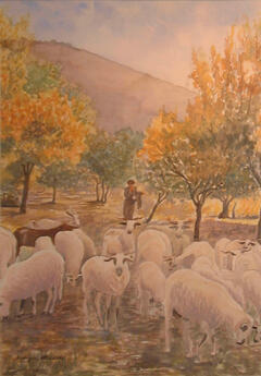 Rebanho de ovelhas